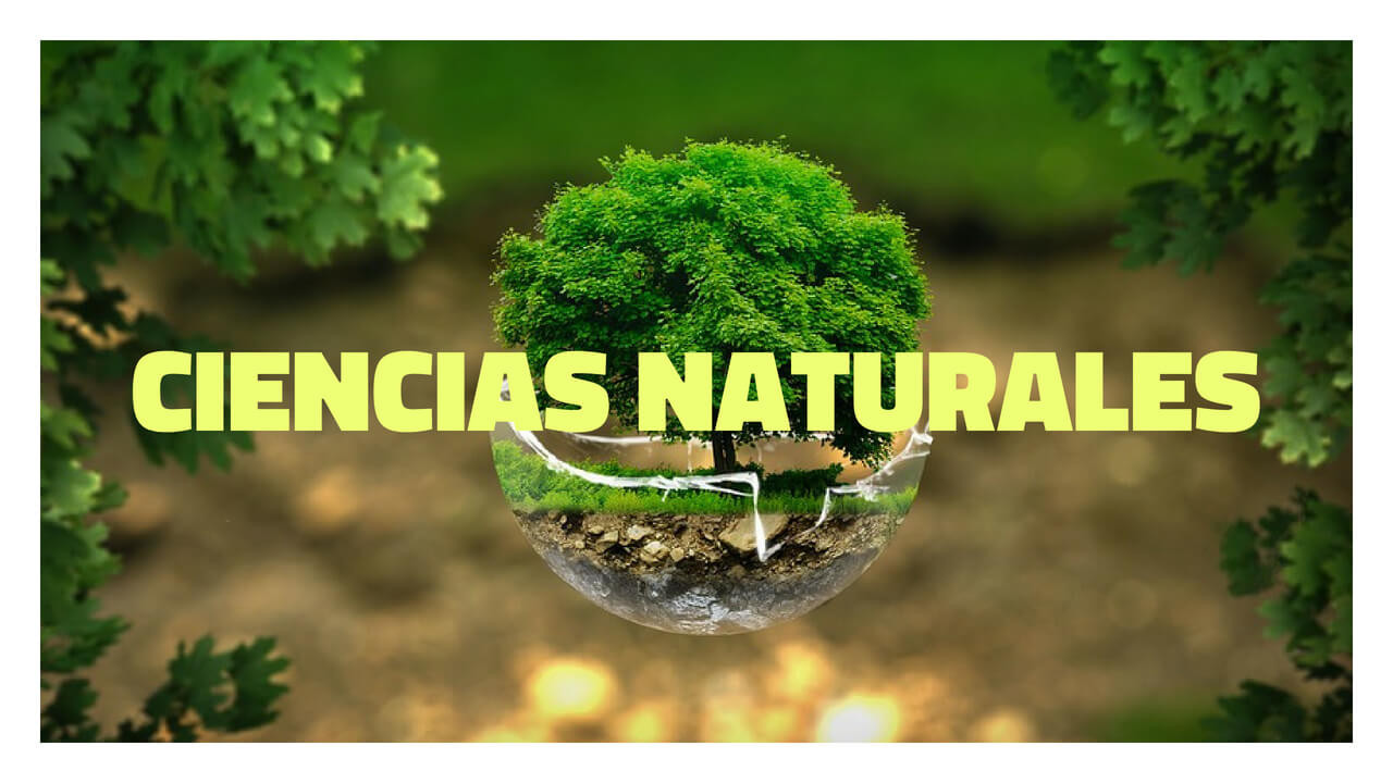 Curso: Ciencias Naturales